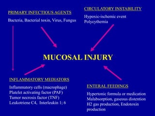 PRIMARY INFECTIOUS AGENTS
Bacteria, Bacterial toxin, Virus, Fungus
CIRCULATORY INSTABILITY
Hypoxic-ischemic event
Polycythemia
MUCOSAL INJURY
ENTERAL FEEDINGS
Hypertonic formula or medication
Malabsorption, gaseous distention
H2 gas production, Endotoxin
production
INFLAMMATORY MEDIATORS
Inflammatory cells (macrophage)
Platelet activating factor (PAF)
Tumor necrosis factor (TNF)
Leukotriene C4, Interleukin 1; 6
 