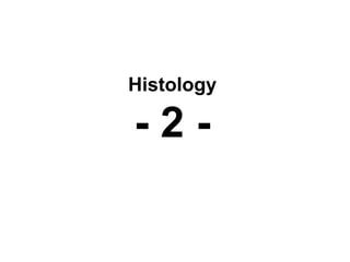 Histology
- 2 -
 