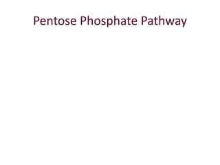 Pentose Phosphate Pathway
 