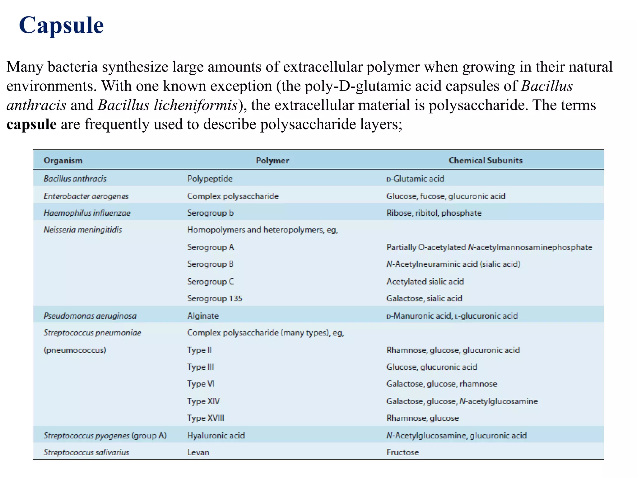 Capsule
Many bacteria synthesize large amounts of extracellular polymer when growing in their natural
environments. With one known exception (the poly-D-glutamic acid capsules of Bacillus
anthracis and Bacillus licheniformis), the extracellular material is polysaccharide. The terms
capsule are frequently used to describe polysaccharide layers;
 