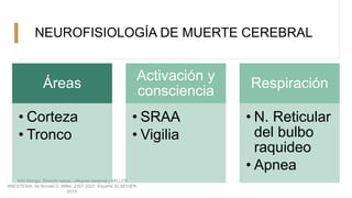 NEUROFISIOLOGÍA DE MUERTE CEREBRAL
Áreas
• Corteza
• Tronco
Activación y
consciencia
• SRAA
• Vigilia
Respiración
• N. Reticular
del bulbo
raquideo
• Apnea
Kho Shingu, Shinichi nakao. «Muerte cerebral.» MILLER
ANESTESIA, de Ronald D. Miller, 2307-2327. España: ELSEVIER,
2015.
 