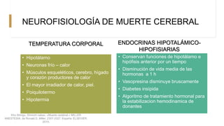 NEUROFISIOLOGÍA DE MUERTE CEREBRAL
TEMPERATURA CORPORAL
• Hipotálamo
• Neuronas frío – calor
• Músculos esqueléticos, cerebro, hígado
y corazón productores de calor
• El mayor irradiador de calor, piel.
• Poiquilotermo
• Hipotermia
ENDOCRINAS HIPOTALÁMICO-
HIPOFISIARIAS
• Conservan funciones de hipotálamo e
hipófisis anterior por un tiempo
• Disminución de vida media de las
hormonas a 1 h
• Vasopresina disminuye bruscamente
• Diabetes insípida
• Algoritmo de tratamiento hormonal para
la estabilizacion hemodinamica de
donantes
Kho Shingu, Shinichi nakao. «Muerte cerebral.» MILLER
ANESTESIA, de Ronald D. Miller, 2307-2327. España: ELSEVIER,
2015.
 