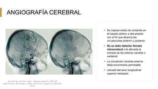 ANGIOGRAFÍA CEREBRAL
• Se inyecta medio de contarste en
el cayado aórtico a alta presión
con el fin que alcance las
circulaciones anterior y posterior
• No se debe detectar llenado
intracerebral a la alturade la
entrada de las arterias carotida o
vertebral.
• La circulación carotída externa
debe encontrarse permeable
• Llenado del seno longitudinal
superior retrasado
Kho Shingu, Shinichi nakao. «Muerte cerebral.» MILLER
ANESTESIA, de Ronald D. Miller, 2307-2327. España: ELSEVIER,
2015.
 