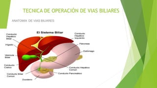 TECNICA DE OPERACIÓN DE VIAS BILIARES
ANATOMIA DE VIAS BILIARES
 