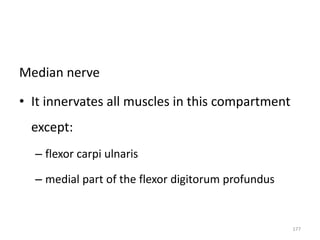 Median nerve
• It innervates all muscles in this compartment
except:
– flexor carpi ulnaris
– medial part of the flexor digitorum profundus
177
 