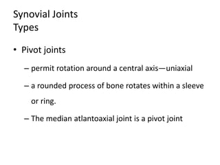 Synovial Joints
Types
• Pivot joints
– permit rotation around a central axis—uniaxial
– a rounded process of bone rotates within a sleeve
or ring.
– The median atlantoaxial joint is a pivot joint
 
