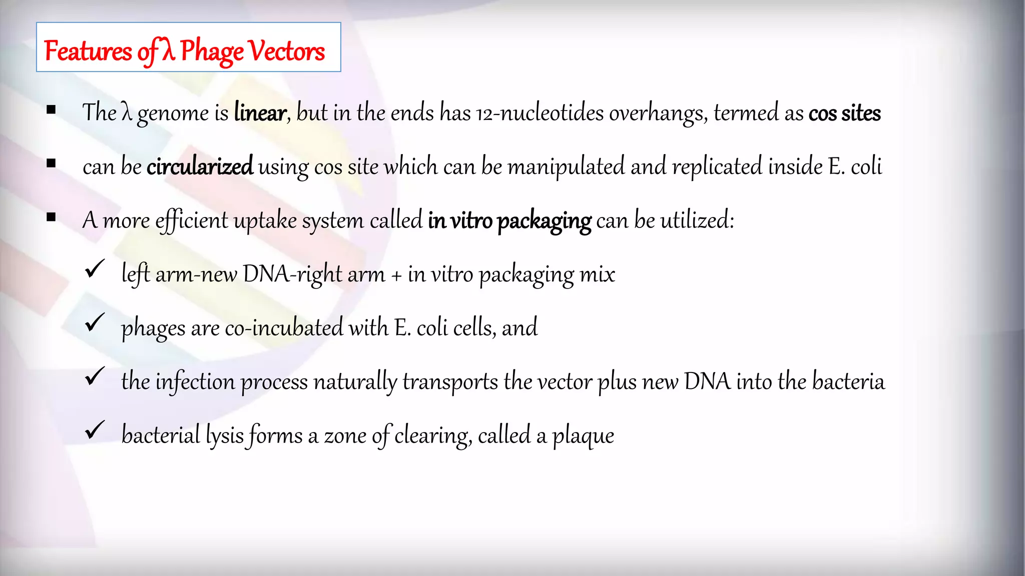  The λ genome is linear, but in the ends has 12-nucleotides overhangs, termed as cos sites
 can be circularized using cos site which can be manipulated and replicated inside E. coli
 A more efficient uptake system called in vitropackaging can be utilized:
 left arm-new DNA-right arm + in vitro packaging mix
 phages are co-incubated with E. coli cells, and
 the infection process naturally transports the vector plus new DNA into the bacteria
 bacterial lysis forms a zone of clearing, called a plaque
Features of λ Phage Vectors
 