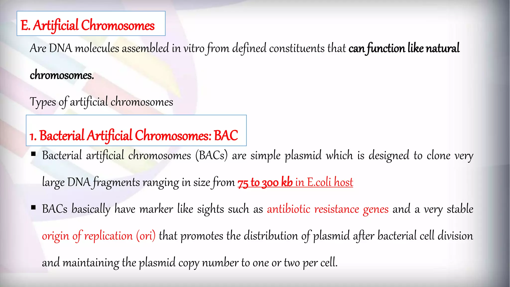Are DNA molecules assembled in vitro from defined constituents that can function likenatural
chromosomes.
Types of artificial chromosomes
 Bacterial artificial chromosomes (BACs) are simple plasmid which is designed to clone very
large DNA fragments ranging in size from 75 to 300 kb in E.coli host
 BACs basically have marker like sights such as antibiotic resistance genes and a very stable
origin of replication (ori) that promotes the distribution of plasmid after bacterial cell division
and maintaining the plasmid copy number to one or two per cell.
E. Artificial Chromosomes
1. Bacterial Artificial Chromosomes: BAC
 