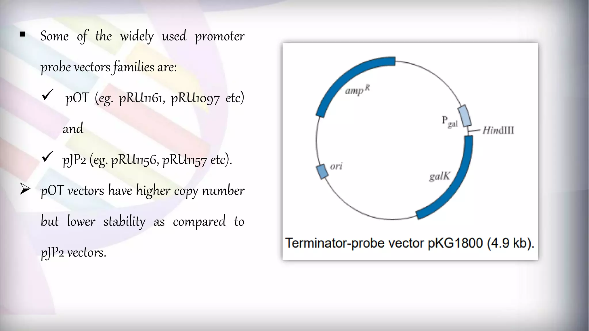  Some of the widely used promoter
probe vectors families are:
 pOT (eg. pRU1161, pRU1097 etc)
and
 pJP2 (eg. pRU1156, pRU1157 etc).
 pOT vectors have higher copy number
but lower stability as compared to
pJP2 vectors.
 