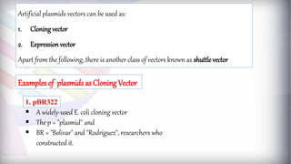 2. VECTORS ppt.pdf