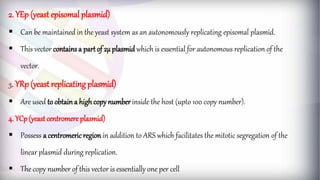 2. VECTORS ppt.pdf