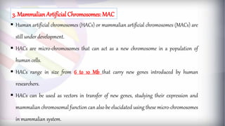  Human artificial chromosomes (HACs) or mammalian artificial chromosomes (MACs) are
still under development.
 HACs are micro-chromosomes that can act as a new chromosome in a population of
human cells.
 HACs range in size from 6 to 10 Mb that carry new genes introduced by human
researchers.
 HACs can be used as vectors in transfer of new genes, studying their expression and
mammalian chromosomal function can also be elucidated using these micro-chromosomes
in mammalian system.
3. Mammalian Artificial Chromosomes: MAC
 