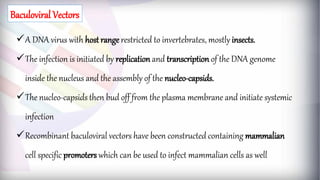 Baculoviral Vectors
A DNA virus with host range restricted to invertebrates, mostly insects.
The infection is initiated by replication and transcription of the DNA genome
inside the nucleus and the assembly of the nucleo-capsids.
The nucleo-capsids then bud off from the plasma membrane and initiate systemic
infection
Recombinant baculoviral vectors have been constructed containing mammalian
cell specific promoters which can be used to infect mammalian cells as well
 
