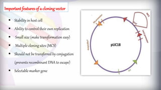  Stability in host cell
 Ability to control their own replication
 Small size (make transformation easy)
 Multiple cloning sites (MCS)
 Should not be transferred by conjugation
(prevents recombinant DNA to escape)
 Selectable marker gene
Important features of a cloning vector
 
