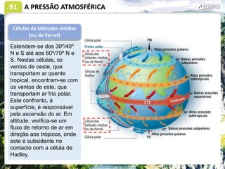 B1 A PRESSÃO ATMOSFÉRICA
Células da latitudes médias
(ou de Ferrel)
Estendem-se dos 30º/40º
N e S até aos 60º/70º N e
S. Nestas células, os
ventos de oeste, que
transportam ar quente
tropical, encontram-se com
os ventos de este, que
transportam ar frio polar.
Este confronto, à
superfície, é responsável
pela ascensão do ar. Em
altitude, verifica-se um
fluxo de retorno de ar em
direção aos trópicos, onde
este é subsidente no
contacto com a célula de
Hadley.
 