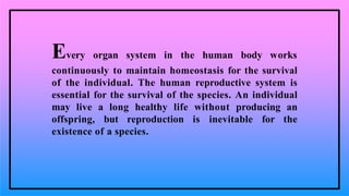 Every organ system in the human body works
continuously to maintain homeostasis for the survival
of the individual. The human reproductive system is
essential for the survival of the species. An individual
may live a long healthy life without producing an
offspring, but reproduction is inevitable for the
existence of a species.
 