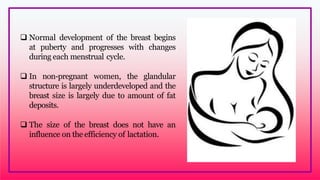  Normal development of the breast begins
at puberty and progresses with changes
during each menstrual cycle.
 In non-pregnant women, the glandular
structure is largely underdeveloped and the
breast size is largely due to amount of fat
deposits.
 The size of the breast does not have an
influence on the efficiency of lactation.
 