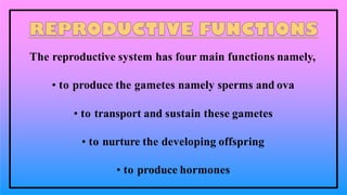 The reproductive system has four main functions namely,
• to produce the gametes namely sperms and ova
• to transport and sustain these gametes
• to nurture the developing offspring
• to produce hormones
 