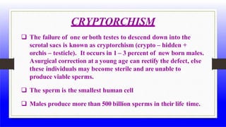 CRYPTORCHISM
 The failure of one orboth testes to descend down into the
scrotal sacs is known as cryptorchism (crypto – hidden +
orchis – testicle). It occurs in 1 – 3 percent of new born males.
Asurgical correction at a young age can rectify the defect, else
these individuals may become sterile and are unable to
produce viable sperms.
 The sperm is the smallest human cell
 Males produce more than 500 billion sperms in their life time.
 