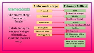 The process of egg
formation in
female.
It starts during the
embryonic stages
of femalei.e.,
inside the mother’s
ovary.
Embryonic stage Primary Follicle
During puberty
1st month 1700
2nd month 6 Lakhs
During birth 2 million
6th month end 7 million
Atricia/ Shrinkage of follicle
Proliferate/ Multiple
Birth to till puberty
60- 80 thousand follicle
ready to start
From 500, one primary
follicle will develop into
egg
Resting phase
Proliferate/ Multiple
 