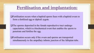 Fertilisation occurs when a haploid sperm fuses with a haploid ovum to
form a fertilized egg or diploid zygote.
The sperms deposited in the female reproductive tract undergo
capacitation, which is a biochemical event that enables the sperm to
penetrate and fertilise the egg.
Fertilisation occurs only if the ovum and sperms are transported
simultaneously to the ampullary isthmic junction of the fallopian tube.
 
