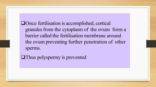 Once fertilisation is accomplished, cortical
granules from the cytoplasm of the ovum form a
barrier called the fertilisation membrane around
the ovum preventing further penetration of other
sperms.
Thus polyspermy is prevented
 