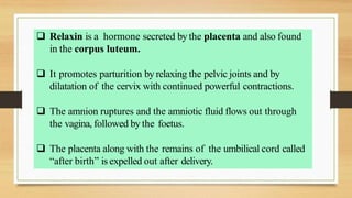  Relaxin is a hormone secreted by the placenta and also found
in the corpus luteum.
 It promotes parturition by relaxing the pelvic joints and by
dilatation of the cervix with continued powerful contractions.
 The amnion ruptures and the amniotic fluid flows out through
the vagina, followed by the foetus.
 The placenta along with the remains of the umbilical cord called
“after birth” is expelled out after delivery.
 