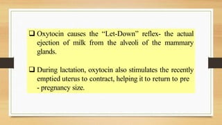  Oxytocin causes the “Let-Down” reflex- the actual
ejection of milk from the alveoli of the mammary
glands.
 During lactation, oxytocin also stimulates the recently
emptied uterus to contract, helping it to return to pre
- pregnancy size.
 
