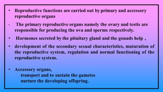 • Reproductive functions are carried out by primary and accessory
reproductive organs
• The primary reproductive organs namely the ovary and testis are
responsible for producing the ova and sperms respectively.
• Hormones secreted by the pituitary gland and the gonads help ,
• development of the secondary sexual characteristics, maturation of
the reproductive system, regulation and normal functioning of the
reproductive system.
• Accessory organs,
transport and to sustain the gametes
nurture the developing offspring.
 