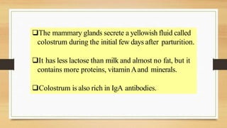 The mammary glands secrete a yellowish fluid called
colostrum during the initial few days after parturition.
It has less lactose than milk and almost no fat, but it
contains more proteins, vitaminAand minerals.
Colostrum is also rich in IgA antibodies.
 