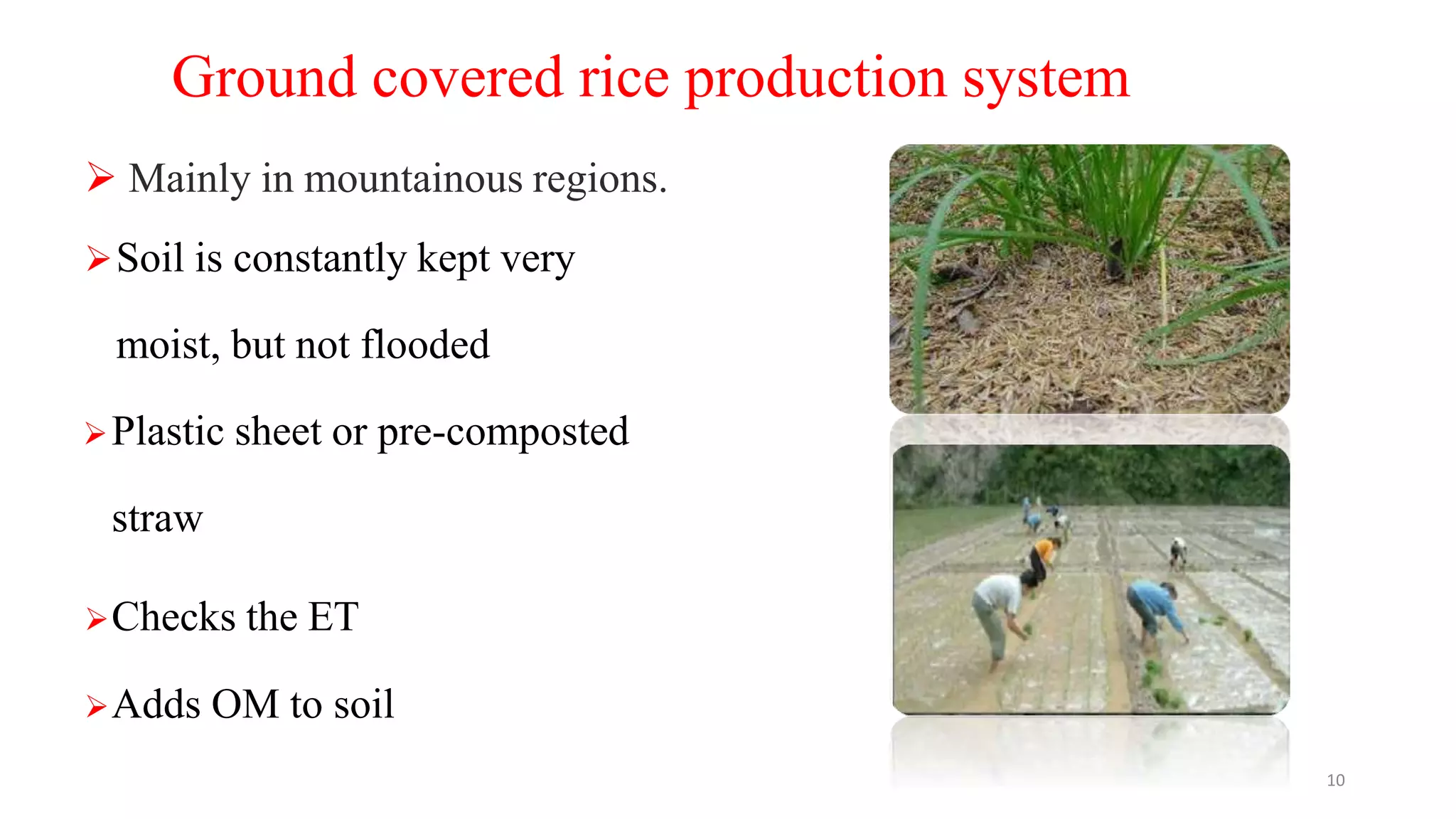 Ground covered rice production system
 Mainly in mountainous regions.
Soil is constantly kept very
moist, but not flooded
Plastic sheet or pre-composted
straw
Checks the ET
Adds OM to soil
10
 