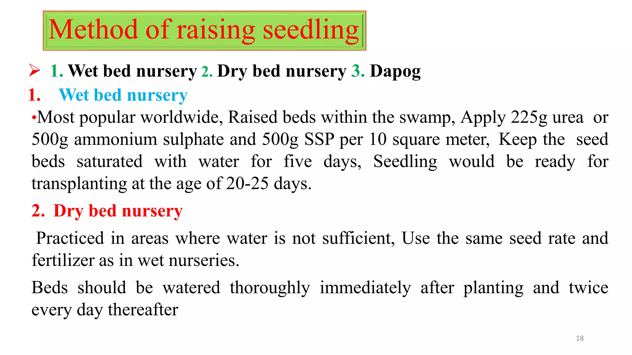 Method of raising seedling
18
 1. Wet bed nursery 2. Dry bed nursery 3. Dapog
1. Wet bed nursery
•Most popular worldwide, Raised beds within the swamp, Apply 225g urea or
500g ammonium sulphate and 500g SSP per 10 square meter, Keep the seed
beds saturated with water for five days, Seedling would be ready for
transplanting at the age of 20-25 days.
2. Dry bed nursery
Practiced in areas where water is not sufficient, Use the same seed rate and
fertilizer as in wet nurseries.
Beds should be watered thoroughly immediately after planting and twice
every day thereafter
 