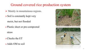 Ground covered rice production system
 Mainly in mountainous regions.
Soil is constantly kept very
moist, but not flooded
Plastic sheet or pre-composted
straw
Checks the ET
Adds OM to soil
10
 