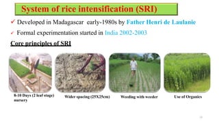 System of rice intensification (SRI)
 Developed in Madagascar early-1980s by Father Henri de Laulanie
 Formal experimentation started in India 2002-2003
Core principles of SRI
8-10 Days (2 leaf stage)
nursery
Wider spacing (25X25cm) Weeding with weeder Use of Organics
13
 