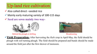  Also called direct –seeded rice
 Mainly early maturing variety of 100-115 days
 Seed are sown mainly two way-
Behind the plough or drilling Broadcasting
Field Preparation- After harvesting the Rabi crop in April-May, the field should be
plough with soil turning plough. The field should be prepared and bunds should be made
around the field just after the first shower of monsoon.
15
 