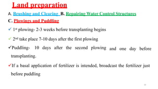 20
Land preparation
A. Brushing and Clearing B. Repairing Water Control Structures
C. Plowings and Puddling
 1st plowing- 2-3 weeks before transplanting begins
 2nd take place 7-10 days after the first plowing
Puddling- 10 days after the second plowing
transplanting.
and one day before
If a basal application of fertilizer is intended, broadcast the fertilizer just
before puddling
 