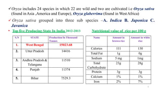 3
Oryza includes 24 species in which 22 are wild and two are cultivated i.e Oryza sativa
(found inAsia ,America and Europe), Oryza glaberrima (found in WestAfrica)
 Oryza sativa grouped into three sub species –A. Indica B. Japonica C.
Javanica
• Top five Producing State In India 2012-2013 Nutritional value of rice per 100 g
S.N STATE Production In Thousand
Tonnes
1. West Bengal 15023.68
2. Utter Pradesh 14416
3. Andhra Pradesh &
Telangana
11510
4. Punjab 11374
5. Bihar 7529.3
Name Amount in
brown rice
Amount in white
rice
Calories 111 130
Total Fat 1g 0g
Sodium 5 mg 1mg
Total
Carbohydrate
23g 28g
Protein 3g 3g
Calcium 1% 1%
Iron 2% 7%
 