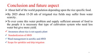 30
Conclusion and future aspect
 About half of the world population depending upon the rice specific food.
By 2025 about 15-20 mh of irrigated rice fields may suffer from water
scarcity .
To over come this water problem and supply sufficient amount of food to
the people it is necessary that type of cultivation system who need less
water but give more yield.
 Awareness about rice is not aquatic plant
 Standardization ofAWD
 Weed management in aerobic andAWD
 Scope for sprinkler and drip irrigation
 