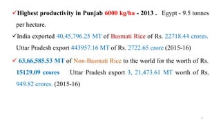 4
Highest productivity in Punjab 6000 kg/ha - 2013 . Egypt - 9.5 tonnes
per hectare.
India exported 40,45,796.25 MT of Basmati Rice of Rs. 22718.44 crores.
Uttar Pradesh export 443957.16 MT of Rs. 2722.65 crore (2015-16)
 63,66,585.53 MT of Non-Basmati Rice to the world for the worth of Rs.
15129.09 crores Uttar Pradesh export 3, 21,473.61 MT worth of Rs.
949.82 crores. (2015-16)
 