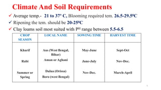 5
Climate And Soil Requirements
 Average temp.- 21 to 37º C, Blooming required tem. 26.5-29.50C
 Ripening the tem. should be 20-250C
 Clay loams soil most suited with PH range between 5.5-6.5
CROP
SEASON
LOCAL NAME SOWING TIME HARVEST TIME
Kharif Aus (West Bengal,
Bihar)
May-June Sept-Oct
Rabi Aman or Aghani June-July Nov-Dec.
Summer or
Spring
Dalua (Orissa)
Boro (west Bengal)
Nov-Dec. March-April
 