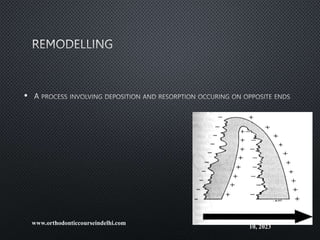 •
Monday, July
10, 2023
www.orthodonticcourseindelhi.com
 