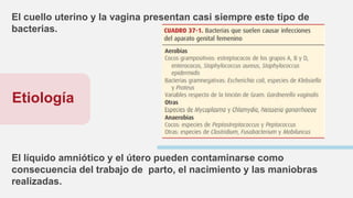 Etiología
El cuello uterino y la vagina presentan casi siempre este tipo de
bacterias.
El líquido amniótico y el útero pueden contaminarse como
consecuencia del trabajo de parto, el nacimiento y las maniobras
realizadas.
 