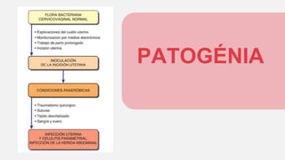 PATOGÉNIA
 