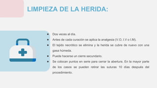 ● Dos veces al día.
● Antes de cada curación se aplica la analgesia (V.O, I.V o I.M).
● El tejido necrótico se elimina y la herida se cubre de nuevo con una
gasa húmeda.
● Puede hacerse un cierre secundario.
● Se colocan puntos en serie para cerrar la abertura. En la mayor parte
de los casos se pueden retirar las suturas 10 días después del
procedimiento.
LIMPIEZA DE LA HERIDA:
 