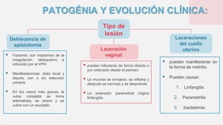 PATOGÉNIA Y EVOLUCIÓN CLÍNICA:
 pueden manifestarse en
la forma de metritis.
 Pueden causar:
1. Linfangitis
2. Parametritis
3. bacteiemia.
 Factores: son trastornos de la
coagulación, tabaquismo e
infección por el VPH.
 Manifestaciones: dolor local y
disuria, con o sin retención
urinaria.
 En los casos más graves, la
vulva completa se torna
edematosa, se ulcera y se
cubre con un exudado.
Tipo de
lesión
Dehiscencia de
episiotomía
Laceraciones
del cuello
uterino
Laceración
vaginal
 pueden infectarse de forma directa o
por extensión desde el perineo.
 La mucosa se enrojece, se inflama y
después se necrosa y se desprende.
 La extensión parametrial origina
linfangitis.
 