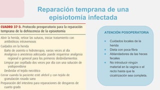 ATENCIÓN POSOPERATORIA
● Cuidados locales de la
herida
● Dieta con poca fibra
● Ablandadores de las heces
fecales
● No introducir ningún
material en la vagina o el
recto hasta que la
cicatrización sea completa.
Reparación temprana de una
episiotomía infectada
 