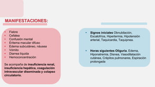 MANIFESTACIONES:
 Fiebre
 Cefalea
 Confusión mental
 Eritema macular difuso
 Edema subcutáneo, náusea
 Vómito
 Diarrea líquida
 Hemoconcentración
Se acompaña de insuficiencia renal,
insuficiencia hepática, coagulación
intravascular diseminada y colapso
circulatorio.
 Signos iniciales Obnubilación,
Escalofríos, Hipertermia, Hipotensión
arterial, Taquicardia, Taquipnea.
 Horas siguientes Oliguria. Edema,
Hiponatremia, Disnea, Vasodilatación
cutánea, Crépitos pulmonares, Espiración
prolongada
 