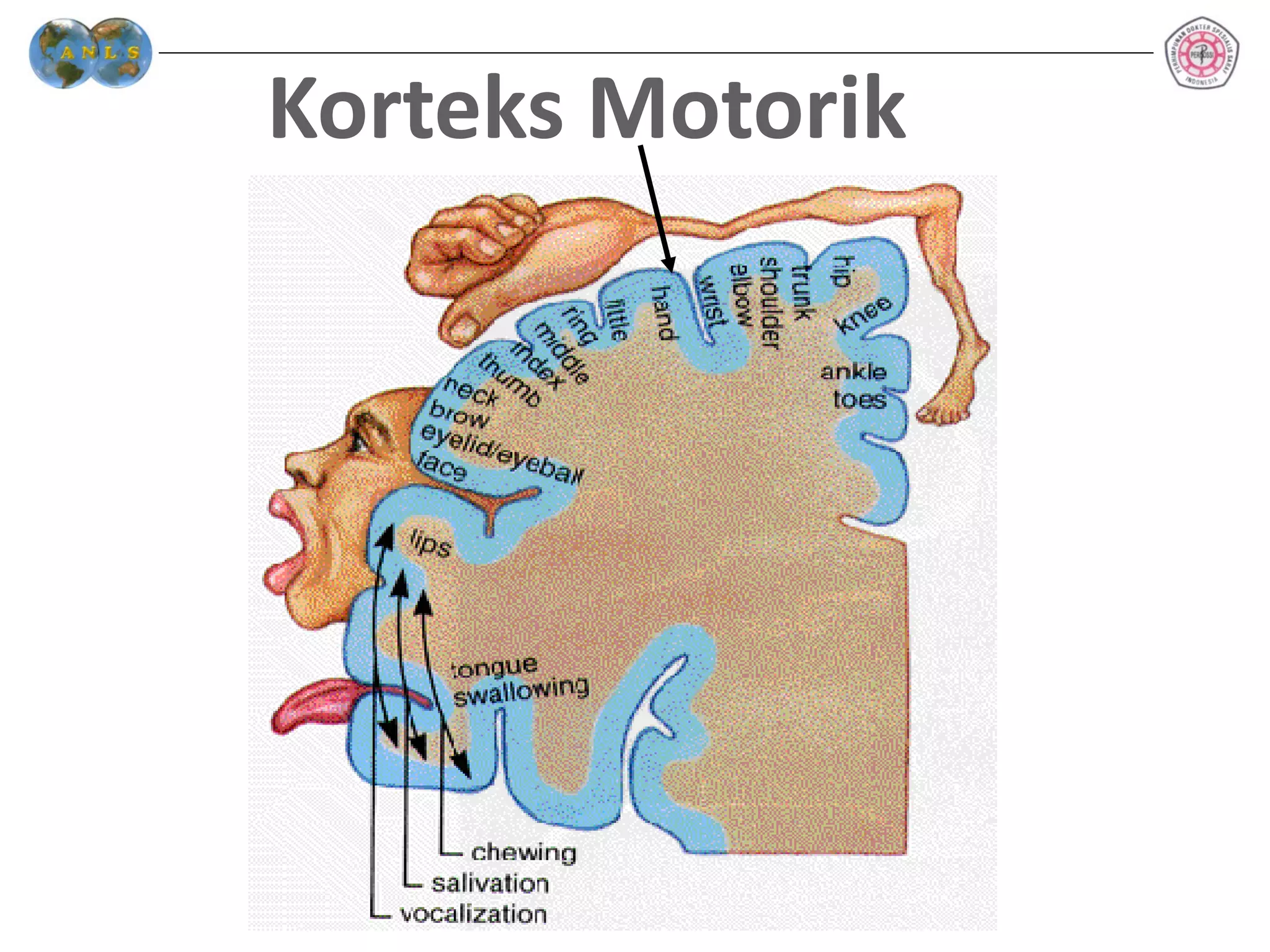 2. ANATOMI FISIOLOGI REVISI.pdf