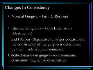 Changes In Consistency
• Normal Gingiva – Firm & Resilient
• Chronic Gingivitis – both Edematous
(Destructive)
and Fibrous (Reparative) changes coexist, and
the consistency of the gingiva is determined
by their relative predominance.
Calcified masses in gingiva- root remnants,
cementum fragments, cementicles.
 