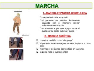  marcha helicoidal, o de todd
 el paciente se moviliza lentamente
trazando con el miembro inferior
enfermo un semicírculo
 arrastrando el pie que apoya sobre el
suelo por su borde externo y punta
MARCHA
1.- MARCHA ESPASTICA HEMIPLEJICA
 conocida también como “steppage”
 el paciente levanta exageradamente la pierna a cada
paso
 mientras el pie cuelga apoyándose en su punta
 la punta roza el suelo al andar
2.- MARCHA PARÉTICA
 